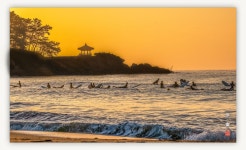 추천갤러리 - 송정 해변의 아침