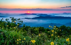 추천갤러리 - 덕유산