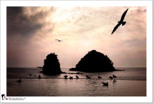 추천갤러리 - 순수 꽃지 노을 지다 ~~