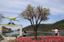 추천갤러리 - 송해공원의봄..