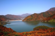 추천갤러리 - 망향의 동산에서...