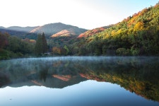 추천갤러리 - 송곡지의 아침