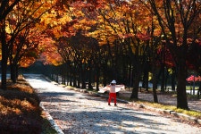 추천갤러리 - 인천대공원