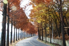 추천갤러리 - 창녕의 메타길...