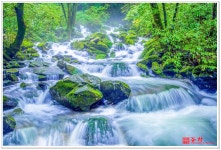 추천갤러리 - 장전계곡