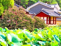 추천갤러리 - 종오정