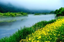 추천갤러리 - 황강