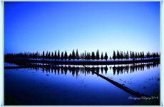 추천갤러리 - 동읍 죽동마을의 日出