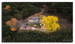 추천갤러리 - 금시당