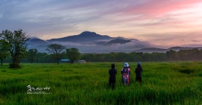 추천갤러리 - 목장에서