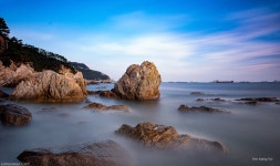 추천갤러리 - 부산영도