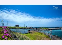 추천갤러리 - 바닷가의 추억 #1