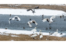 추천갤러리 - 강변풍경