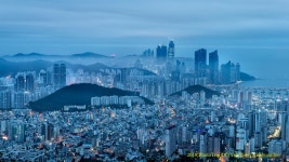 추천갤러리 - 부산 오늘아침