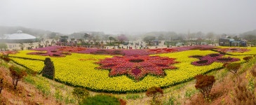 추천갤러리 - 코리아플라워파크