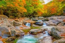 추천갤러리 - 지리산 골짝