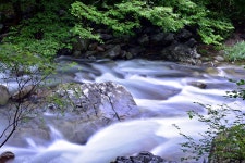 추천갤러리 - 계곡