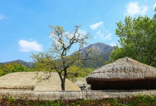 추천갤러리 - 고향생각