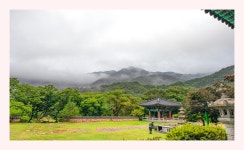추천갤러리 - 산사의아침소경