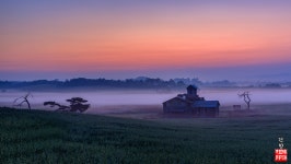 추천갤러리 - 목장여명