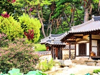추천갤러리 - 종오정