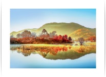 추천갤러리 - 호수속의 풍경
