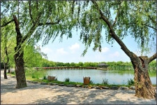 추천갤러리 - [D700]궁남지의 여름