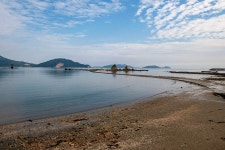 추천갤러리 - 통개항에서