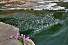 추천갤러리 - 수달레