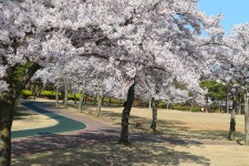 추천갤러리 - 공원의 아침