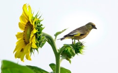 추천갤러리 - 팜랜드 에서