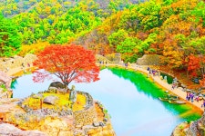 추천갤러리 - 삼성궁
