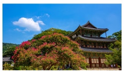 추천갤러리 - 금산사