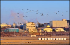 추천갤러리 - 공단(公団)