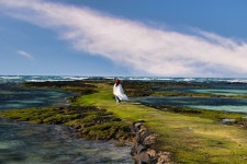 추천갤러리 - 바다길