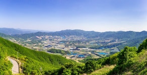 추천갤러리 - 해안분지 펀치볼