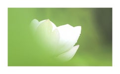추천갤러리 - 비오는날의 오후
