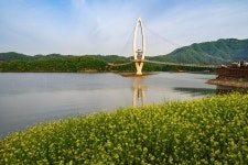 추천갤러리 - 붕어섬출렁다리