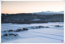 추천갤러리 - 하얀 나라