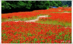 추천갤러리 - 상림공원에서