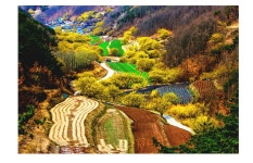 추천갤러리 - 산수유마을