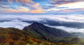 추천갤러리 - 구봉산...