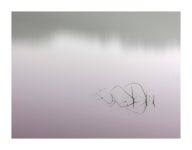 추천갤러리 - 대야리의 아침