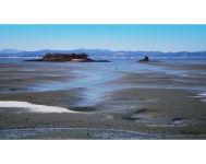 추천갤러리 - 바다갯골