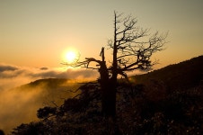 추천갤러리 - 함백산