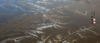 추천갤러리 - 뻘의조화~~~