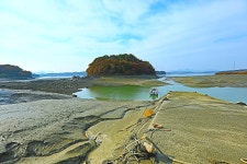 추천갤러리 - 덕포나루 - (김포시 대곶면)