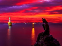 추천갤러리 - 11.7 동백섬