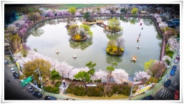 추천갤러리 - ^^^영산연지^^^