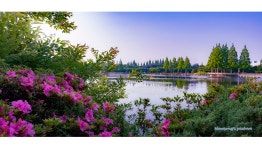 추천갤러리 - 호숫가의 풍경 -----